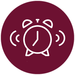 icon_vortraege (1)